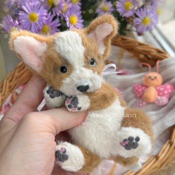 Щенок корги Джерри 🥐🐾🐶