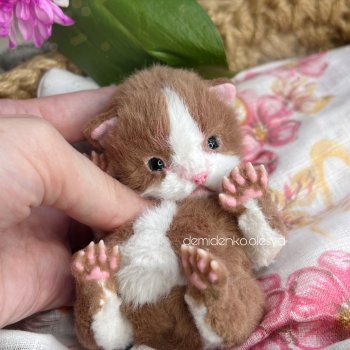 Маленький котёнок Шоколад 🍫