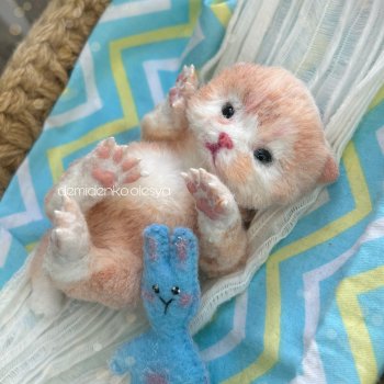 Маленький котёнок Онигири 🐾💓🐱