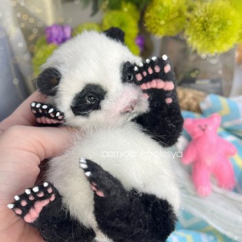 Маленький панда Туантуан 🐼🐾