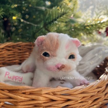 Щенок Клора 🐶✨