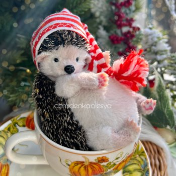 Ежонок Плюша 🦔💖