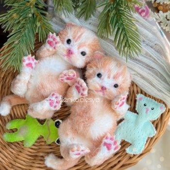 Котята Абрикос и Персик 🍑✨