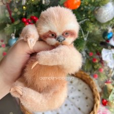Ленивец Йося 🦥✨