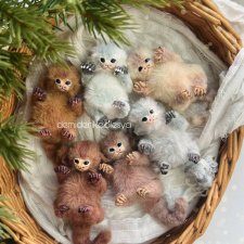 Миниатюрные обезьянки игрунки