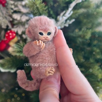 Миниатюрная обезьянка игрунка Гаврюша