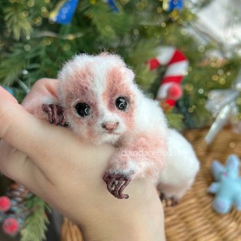 Лемур лори Ральф 💙