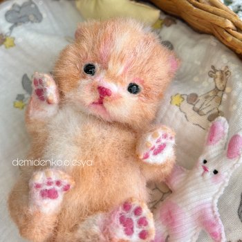 Маленький котёнок Марсик 🐱