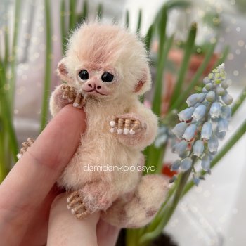 Обезьянка игрунка Чапи 🐒🎀