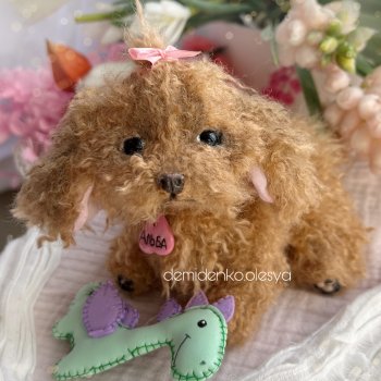 Щенок той пудель Альба 🩷