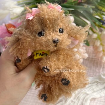 Щенок той пудель Майра 🌸