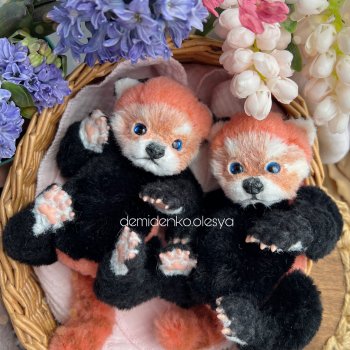 Малыши красные панды 🐼🧡