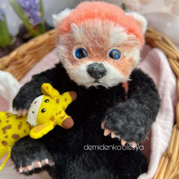 Красная панда Агустус 😍