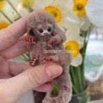 Маленькая обезьянка игрунка мармозетка Изма