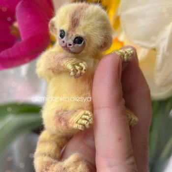 Миниатюрная обезьянка игрунка Лимонка 🍋