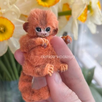Миниатюрная обезьянка мармозетка (игрунка) Морковка 🥕
