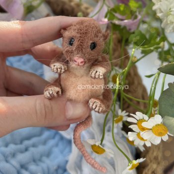 Полевой мышонок Лёля 🐭🩷