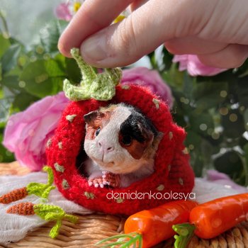 Морская свинка Микки 🐹 Миниатюра в смешанной технике