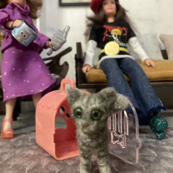 О любви и котиках