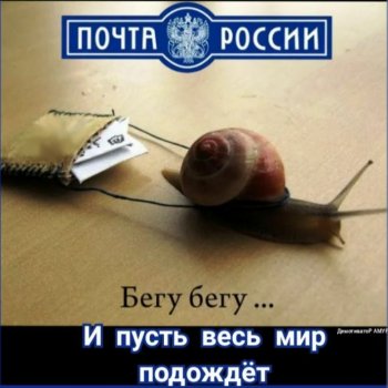 Счастье приехало