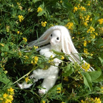 Эрин убегает в лес