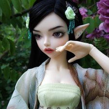 Розовая акация в китайском стиле