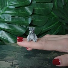 Микро котик Лони. Видеообзор.