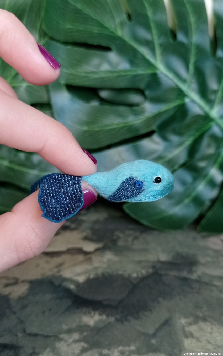 Малыш Посейдон. Малюсенький, а имя то какое величественное (фото 6)