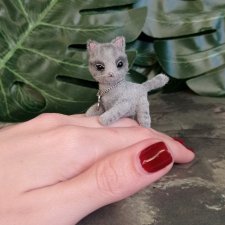 Сержик. Серый котик.