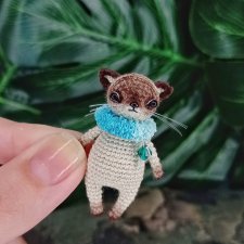 Котик родился