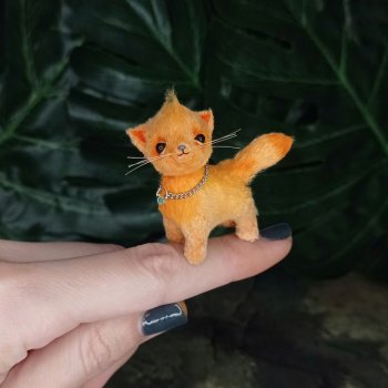 Новые создания