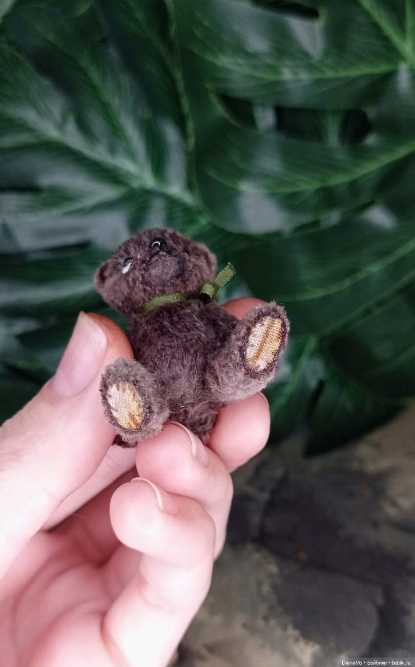 Первый мохнатый малыш 2024 года (фото 4)