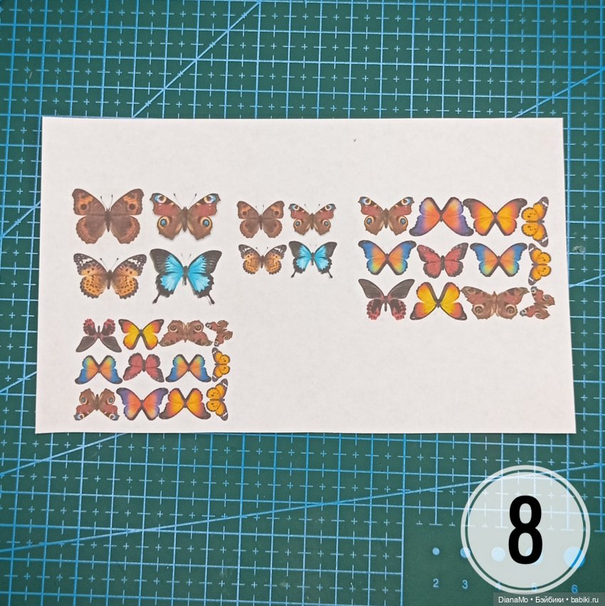 Мини МК "Миниатюрная коллекция бабочек" (фото 9)