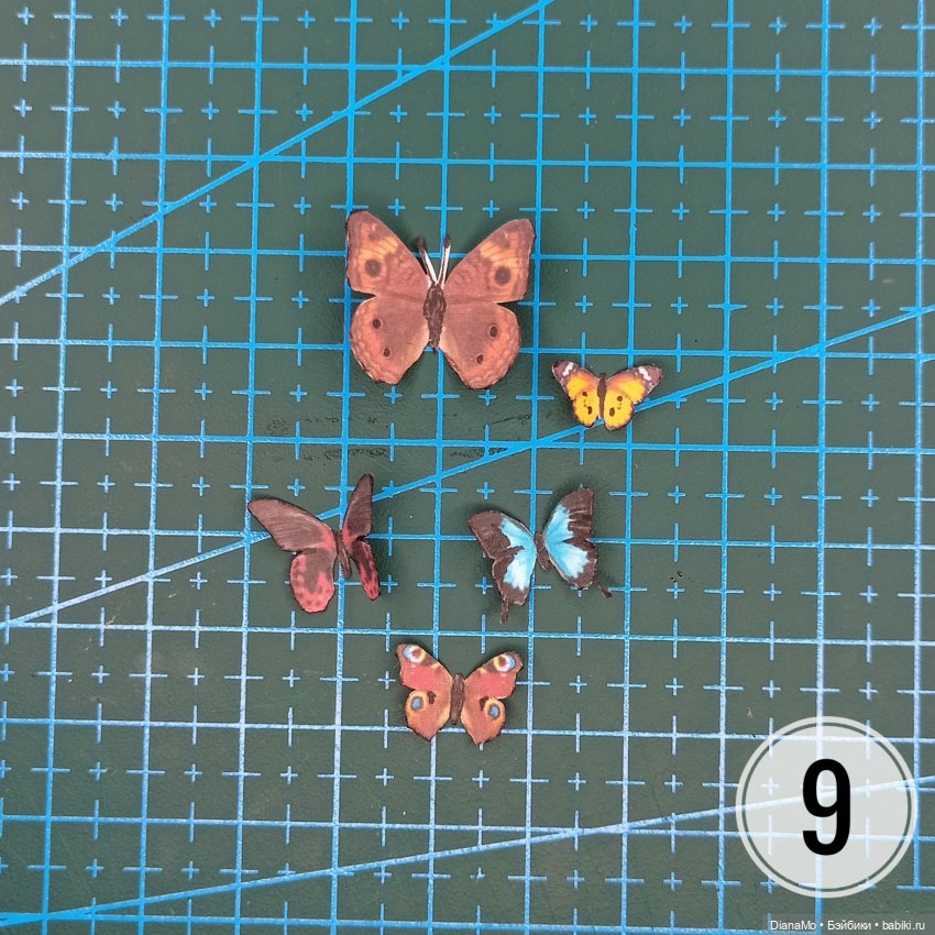 Мини МК "Миниатюрная коллекция бабочек" (фото 10)