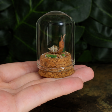 Улиточка в клоше