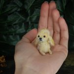 Американский кокер спаниэль