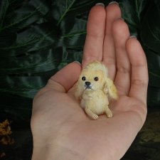 Американский кокер спаниэль