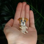 Английский бульдог