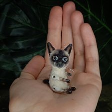 Сиамский котик