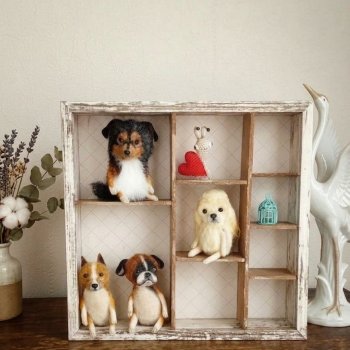 Мои собачки и котики.