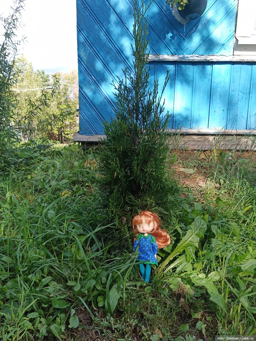 Холодно — Игровые куклы разных производителей (Разное): редкие бренды (фото 4)