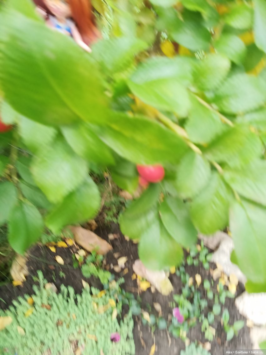 Лисенок на прогулке | Бэйбики Лисенок на прогулке — Аналоги Барби и куклы 1/6: клоны 90