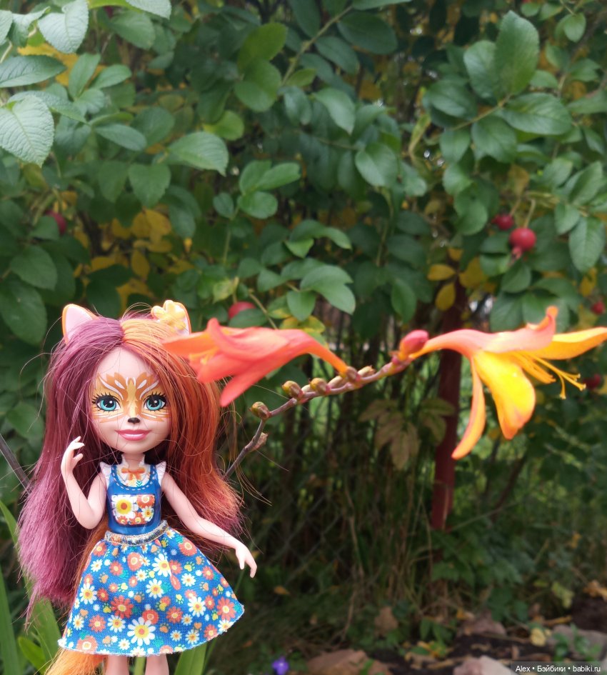 Лисенок на прогулке | Бэйбики Лисенок на прогулке — Аналоги Барби и куклы 1/6: клоны 90 (фото 8)