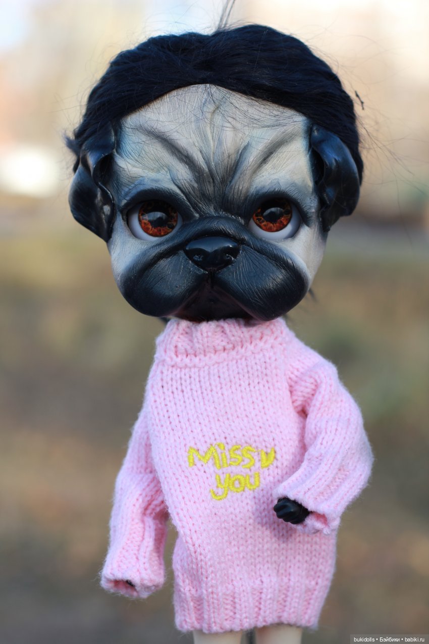 Любителям мопсиков посвящается🐾 ( Осторожно, много букв и фото) (фото 2)