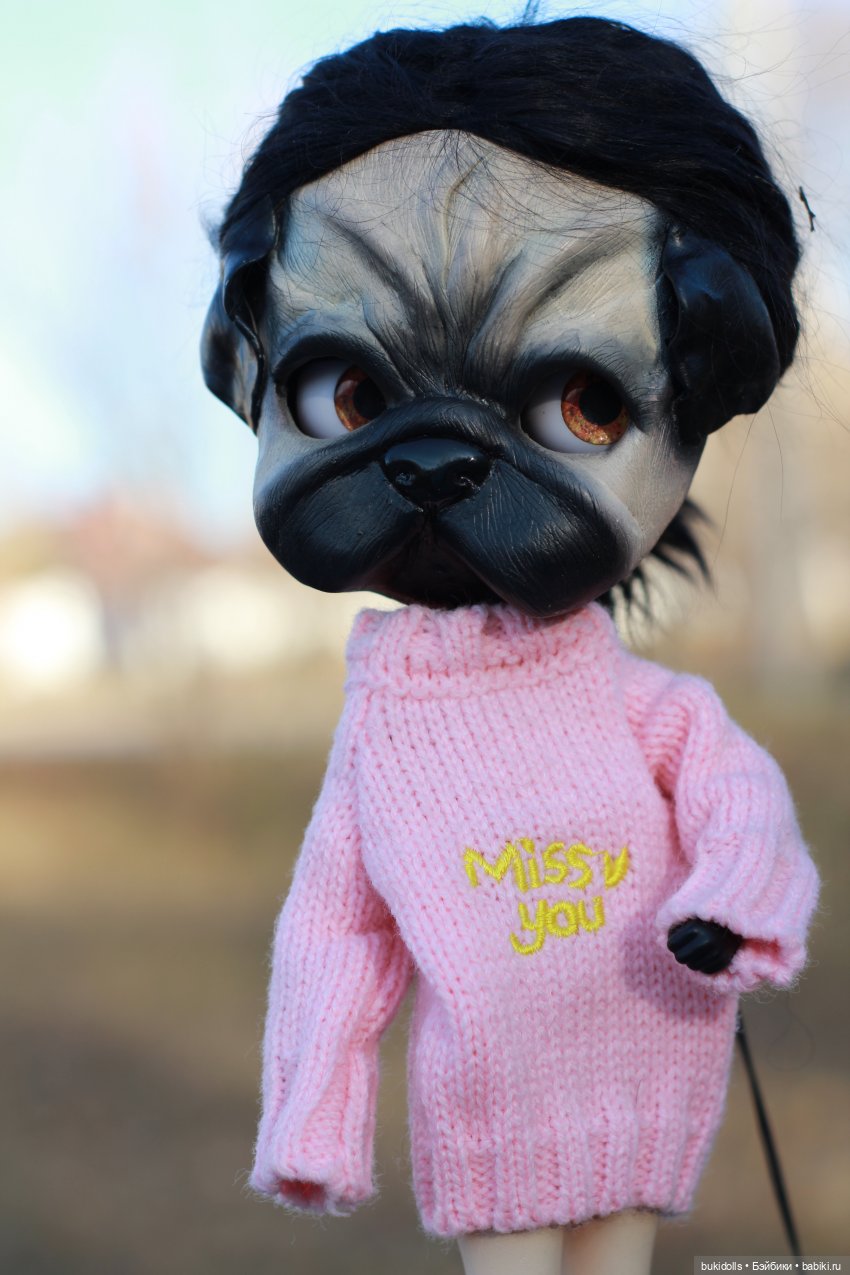 Любителям мопсиков посвящается🐾 ( Осторожно, много букв и фото) (фото 4)