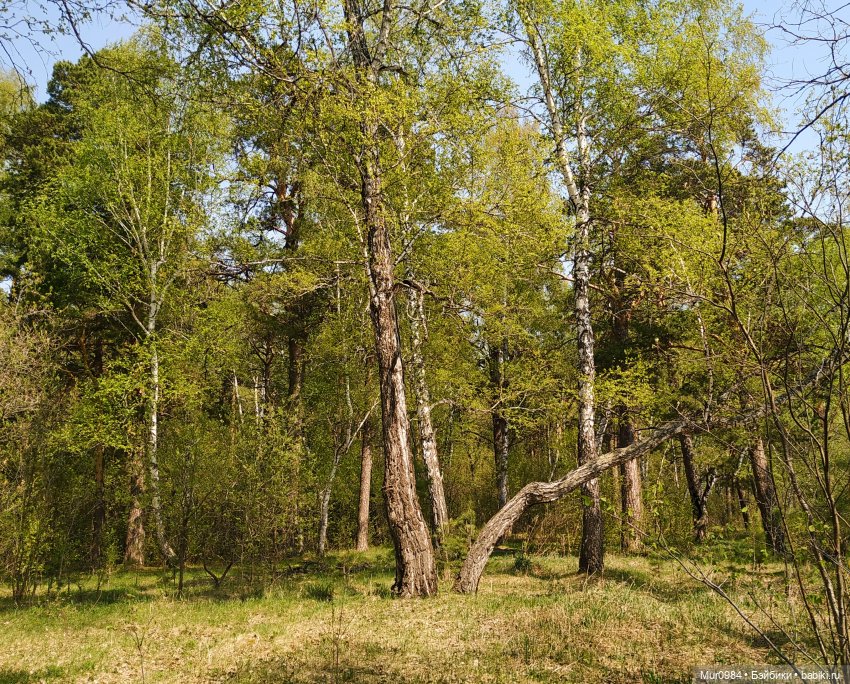 К русалочке приехали две подружки (фото 5)