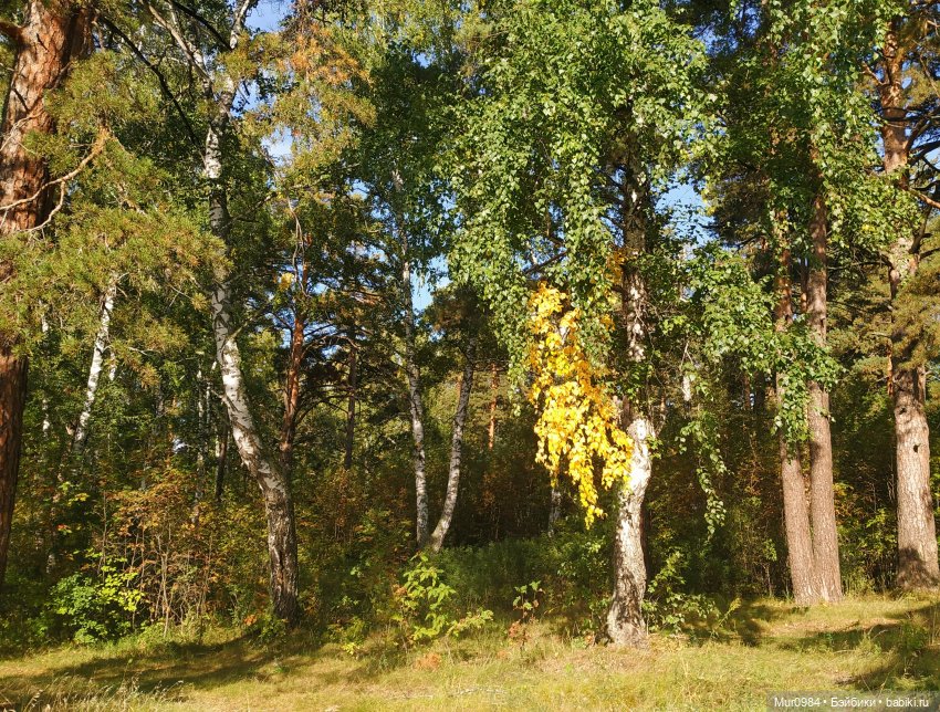 Для Музыкального фестиваля 2023 г -дуэт "JenGar"