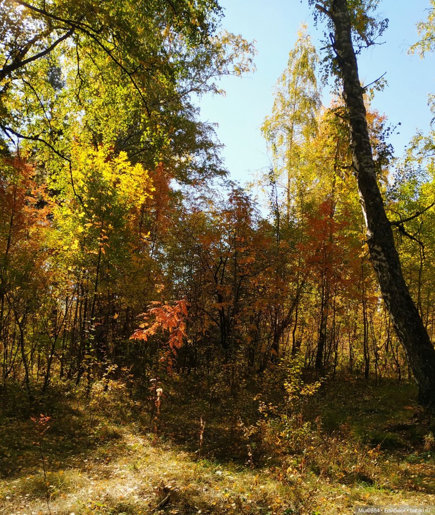 Для Музыкального фестиваля 2023 г -дуэт "JenGar"