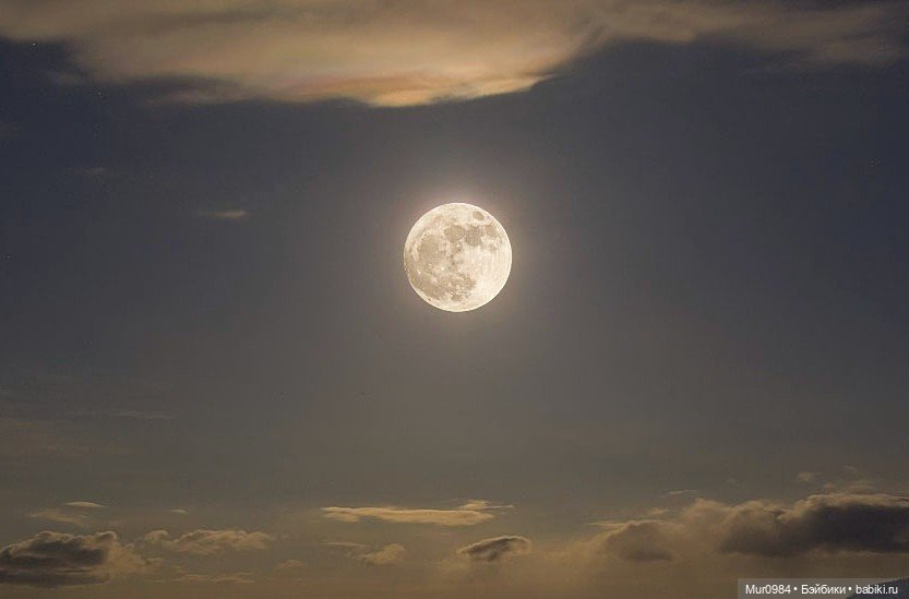 Для Музыкального фестиваля 2023 г -дуэт "JenGar" (фото 5)