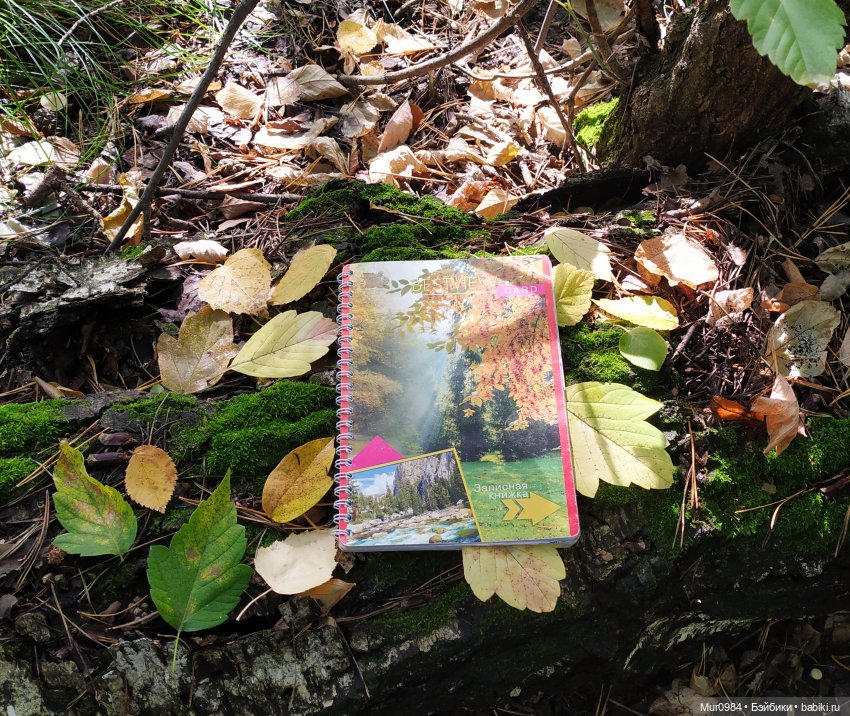 Для Музыкального фестиваля 2023 г -дуэт "JenGar"